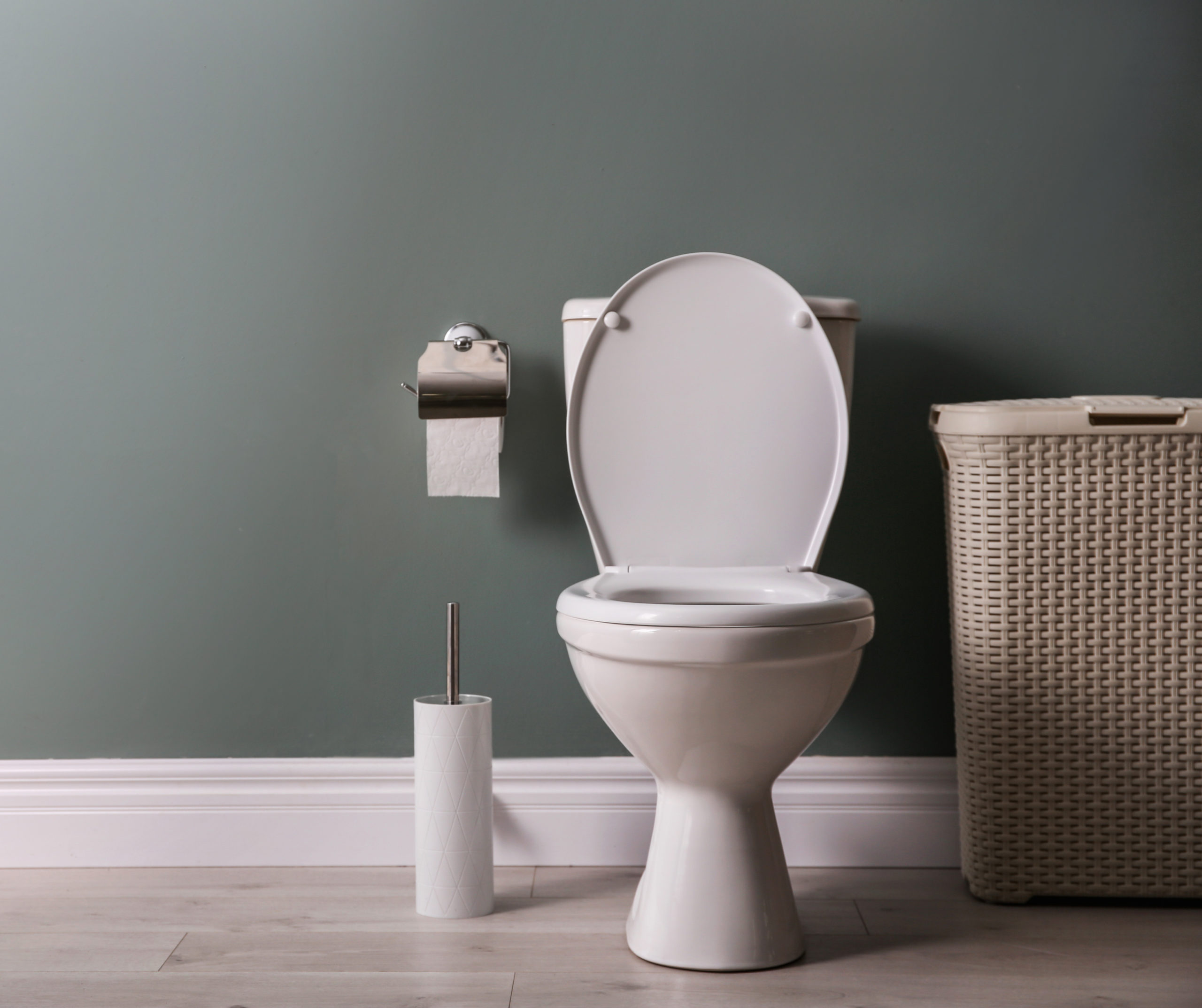Bathroom toilet in Battle Ground WA - RJ Plumbing