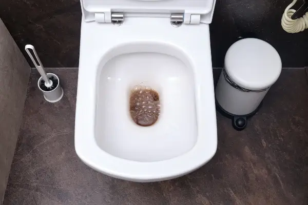 Blockage on modern home white toilet with dirty water