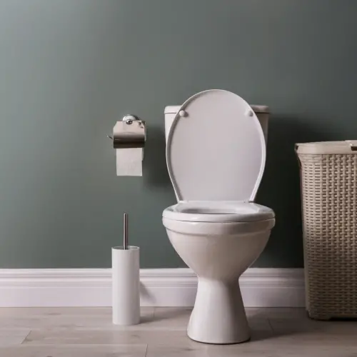 A newly installed bathroom toilet. Interested in a bathroom remodel? RJ Plumbing Services offers plumbing fixture installation services.